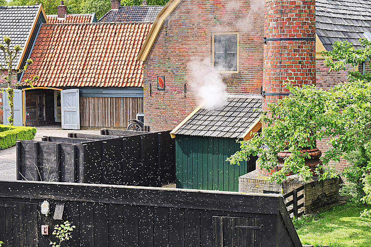 SDWA seniorenuitje2023_117